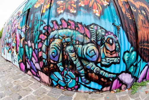 all-those-shapes_-_aber_-_chameleon-looking-for-love_-_north-fitzroy