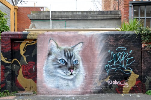 all-those-shapes_-_adore_-_fluffy-meow_-_fitzroy