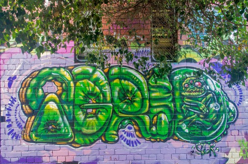 all-those-shapes_-_agrio_-_green-podlings_-_fitzroy