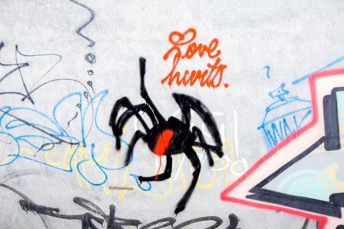all-those-shapes_-_bus-dunk_73n7h_20230518_11_-_love-hurts_red-back-spider