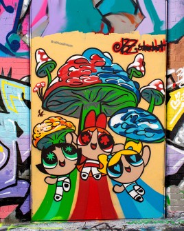 all-those-shapes_-_street-art-sessions_20231217_-_bz-street-art-power-puff-girls-mushrooms