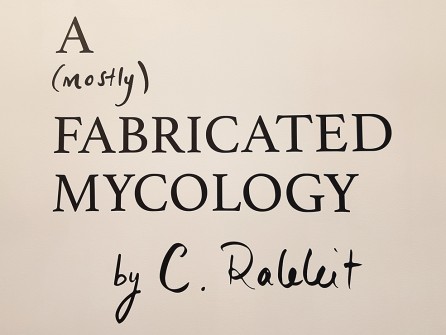 all-those-shapes_-_cat-rabbit_-_a-mostly-fabricated-mycology_02