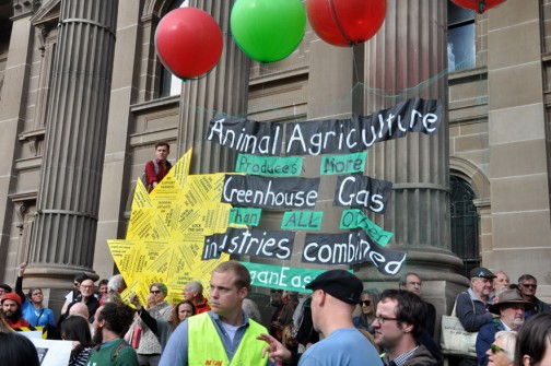 all-those-shapes_-_climate-change-rally_047_animal-agriculture.jpg