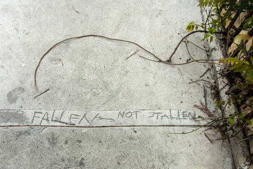 all-those-shapes_-_concrete-graffiti_-_fallen-not-stallen_-_brunswick