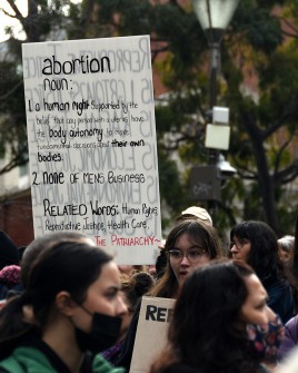 all-those-shapes_-_defend-abortion-rights-protest-rally_20220702_07_abortion-noun