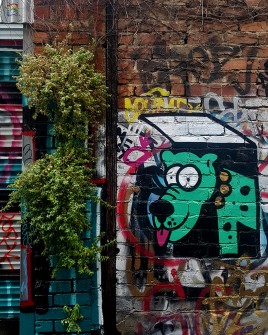 all-those-shapes_-_era-the-dog_-_trap-door_-_fitzroy