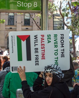 all-those-shapes_-_20231105_free-palestine-rally_05_-_from-the-river-to-the-sea