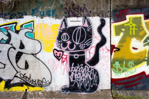all-those-shapes_-_g4rdy-dr41n5_20240110_59_-_pink-graff-kitten-cat
