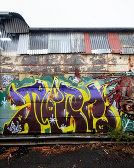 all-those-shapes_-_spider-boogie-graff_01_-_jigs_-_brunswick-east