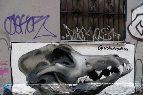 all-those-shapes_-_notonebuttoo_-_dog-skull-chomp_-_fitzroy