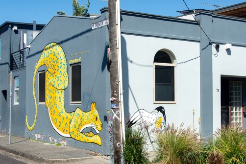 all-those-shapes_-_napam-graff_-_game-of-cat-and-ibis_-_brunswick