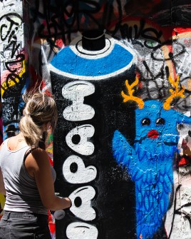 all-those-shapes_-_street-art-sessions_20231217_-_napam-graff-and-blue