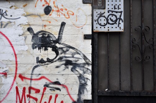 all-those-shapes_-_neat-insect_-_black-chat_-_north-fitzroy