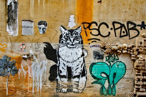 all-those-shapes_-_king-of-the-clowder_-_graff-attractor-cat_-_city
