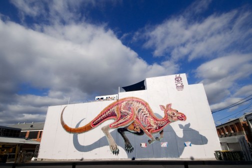 all-those-shapes_-_nychos_-_kangaroo-and-joey-your-melbourne_-_collingwood