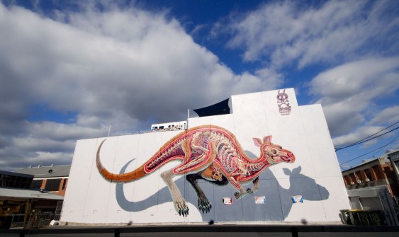 all-those-shapes_-_nychos_-_kangaroo-and-joey-your-melbourne_2_-_collingwood