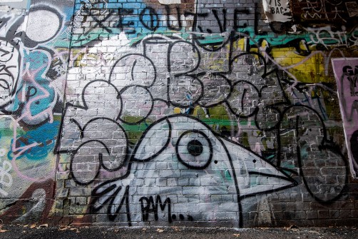 all-those-shapes_-_pam_-_alley-bird_-_fitzroy