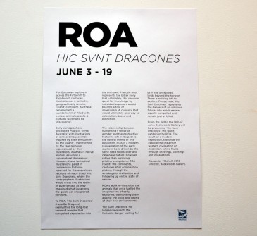 all-those-shapes_-_roa_-_hic-svnt-dracones_17
