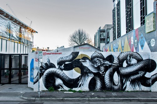 all-those-shapes_-_robert-duxbury_-_the-snake-and-the-crows_-_fitzroy