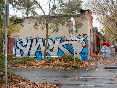 all-those-shapes_-_shark_-_your-friendly-neighbourhood_-_fitzroy