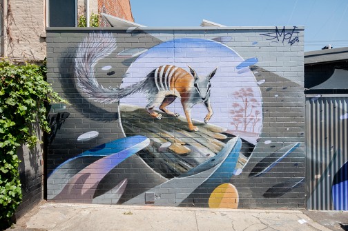 all-those-shapes_-_smoe_-_numbat-surf_-_fitzroy