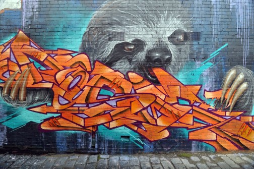 all-those-shapes_-_dose_sugar_-_snacky-sloth_-_brunswick-east