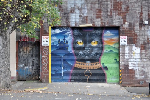 all-those-shapes_-_sugar_-_fitzroy-forest-cat_-_fitzroy