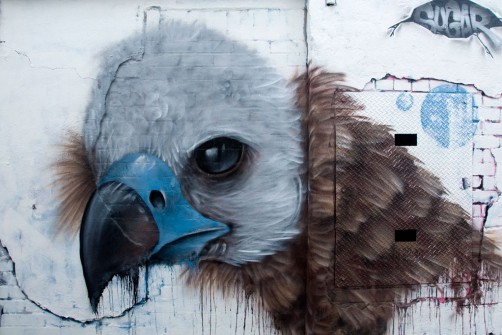 all-those-shapes_-_sugar_-_fluffy-vulture_-_fitzroy