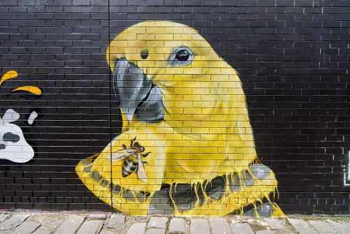 all-those-shapes_-_sugar_-_melted-cheese-parrot_-_brunswick-east