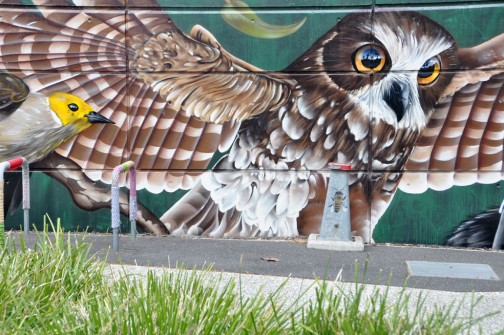 all-those-shapes_-_sugar_-_owl-and_-_footscray