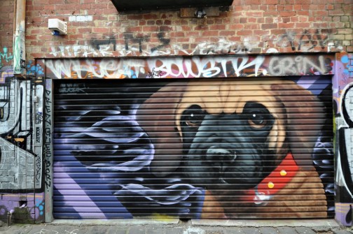 all-those-shapes_-_sugar_-_rollie-pup_2_-_fitzroy