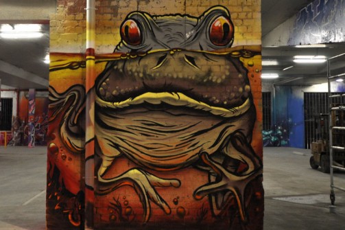 all-those-shapes_-_awes_-_night-frog_-_fitzroy