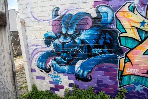 all-those-shapes_-_tigers-vibes_-_blue-tiger-jump_-_fitzroy
