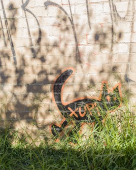 all-those-shapes_-_xupi_-_cat-in-the-grass_-_fitzroy-north