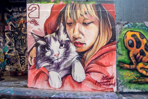 all-those-shapes_-_akid-one_-_my-cat-and-me_-_hosier-lane