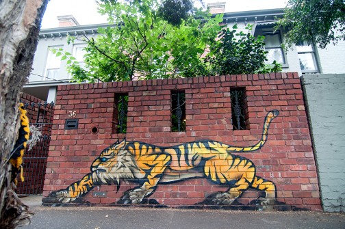 all-those-shapes_-_awes_-_tiger-in-the-urban-jungle_-_burnley