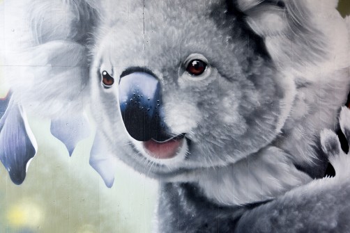 all-those-shapes_-_danny-awes_-_koala-hangs_02_-_seymour