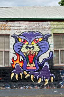 all-those-shapes_-_caper_-_panther-claws_-_fitzroy