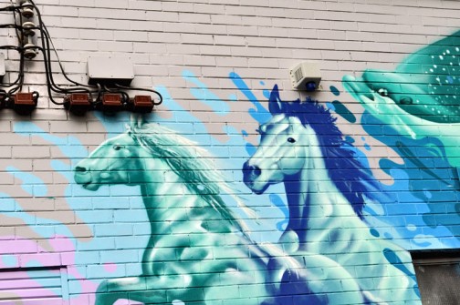 all-those-shapes_-_chuck-mayfield_-_north-horses_-_fitzroy