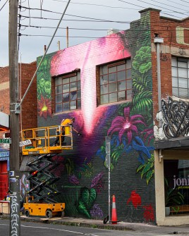 all-those-shapes_-_chuck-mayfield_mike-makatron_-_fitzroy-fish-jungle_01_wip_-_fitzroy
