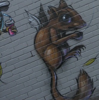 all-those-shapes-itch-squirrel-medicine-fitzroy