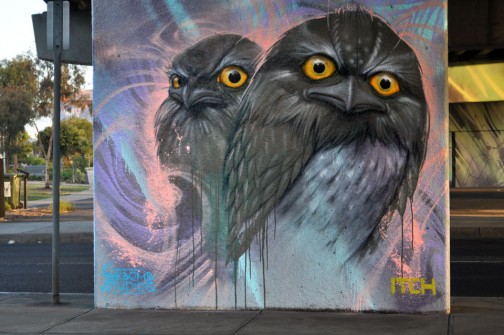 all-those-shapes_-_itch_-_tawny-frogmouths_-_port-melbourne