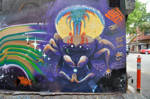 all-those-shapes_-_julia-palazzo_-_peacock-spider-shaman_-_fitzroy