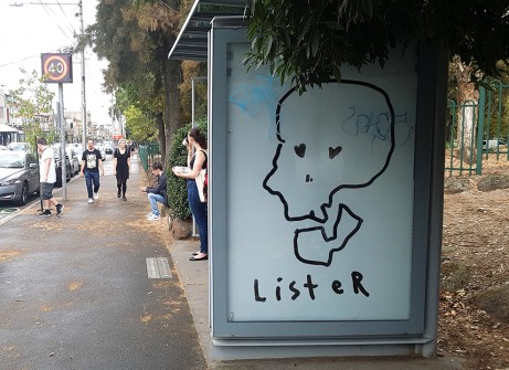 all-those-shapes_-_lister_-_skull-poser_02_-_fitzroy