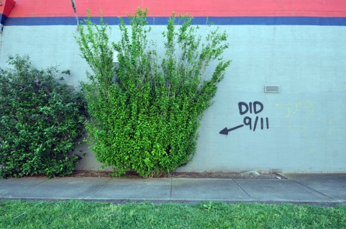 all-those-shapes_-_lush_-_bush-did-911_-_west-footscray