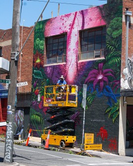 all-those-shapes_-_chuck-mayfield_mike-makatron_-_fitzroy-fish-jungle_03_wip_-_fitzroy