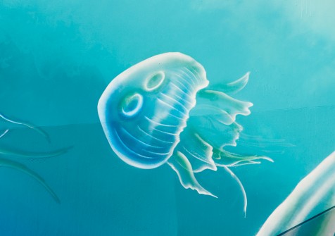all-those-shapes_-_makatron_-_smiley-jellyfish_-_aquarium