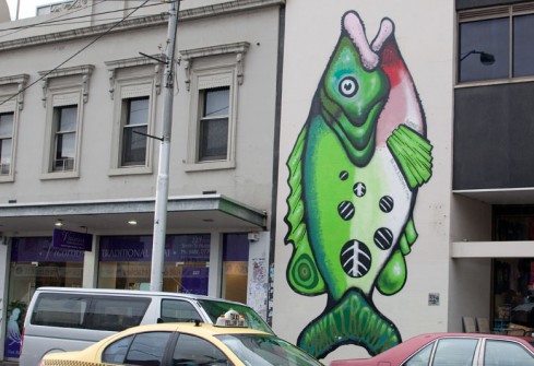 all_those_shapes_-_makatron_wall_fish_-_fitzroy