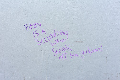 all-those-shapes_-_messages_-_fitzy-is-a-scumbag-who-steals-off-his-girlfriend_-_fitzroy