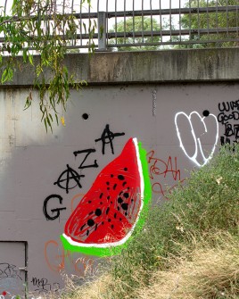 all-those-shapes_-_messages_-_gaza-watermelon